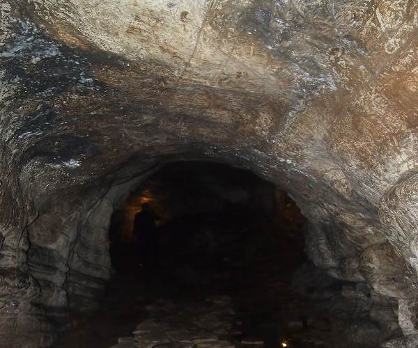 The Cave