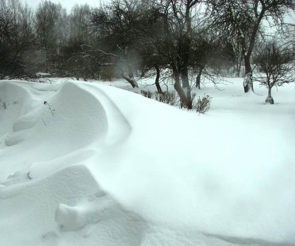 Snow Drift!