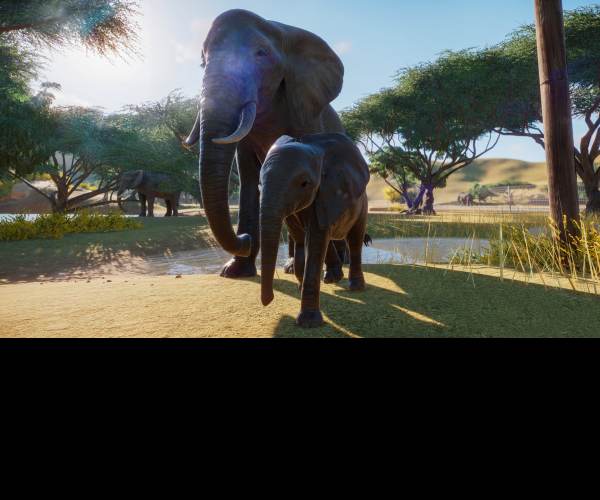 Planet Zoo