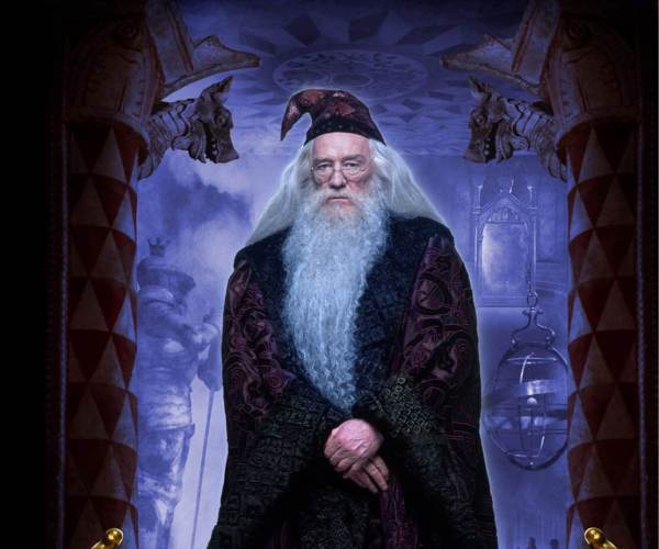 Harry Potter & Sorcerers Stone