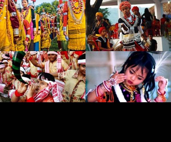 Cultures