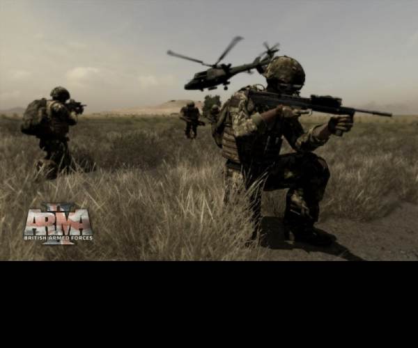 ArmA 2: Reinforcements