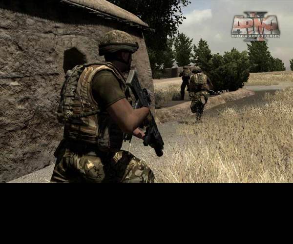 ArmA 2: Reinforcements