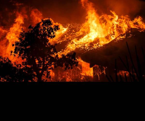 Wildfire