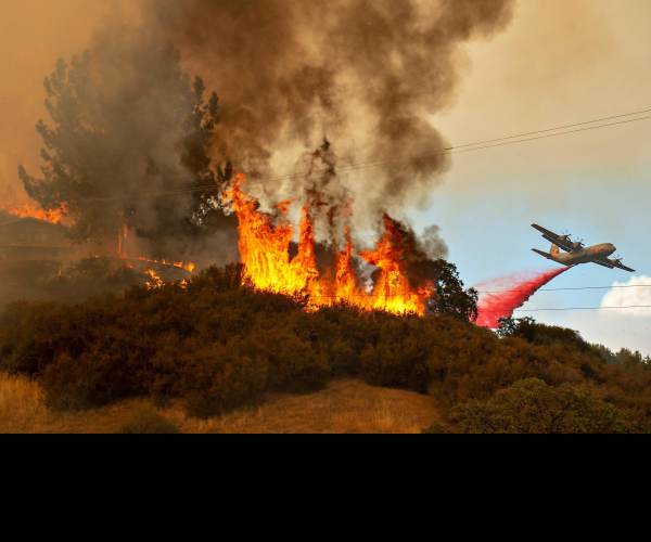 Wildfire