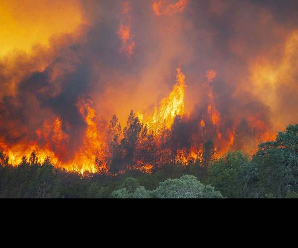 Wildfire