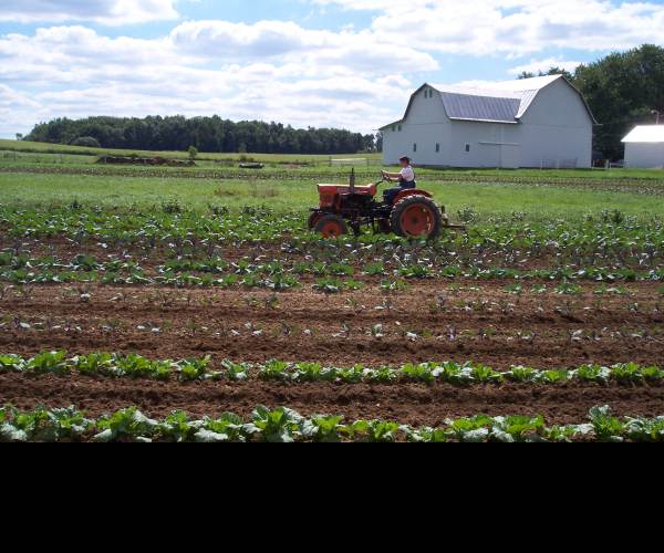 Family Farm