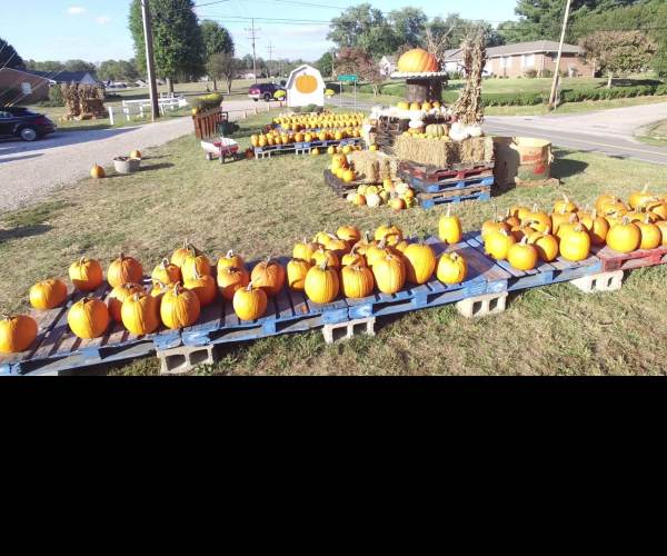 Family Farm