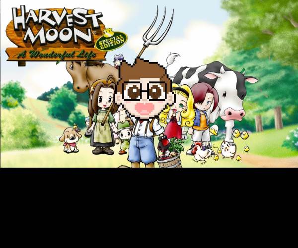 Harvest Moon: A Wonderful Life