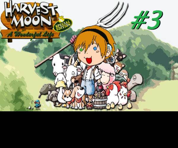 Harvest Moon: A Wonderful Life