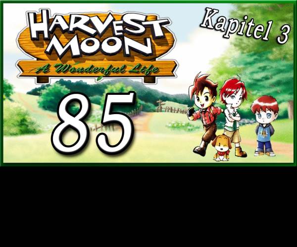 Harvest Moon: A Wonderful Life