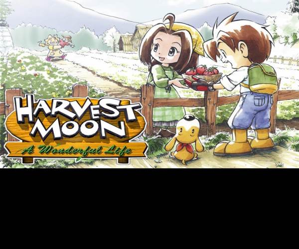 Harvest Moon: A Wonderful Life