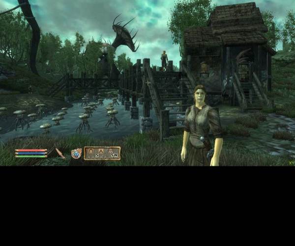 The Elder Scrolls 4: Oblivion