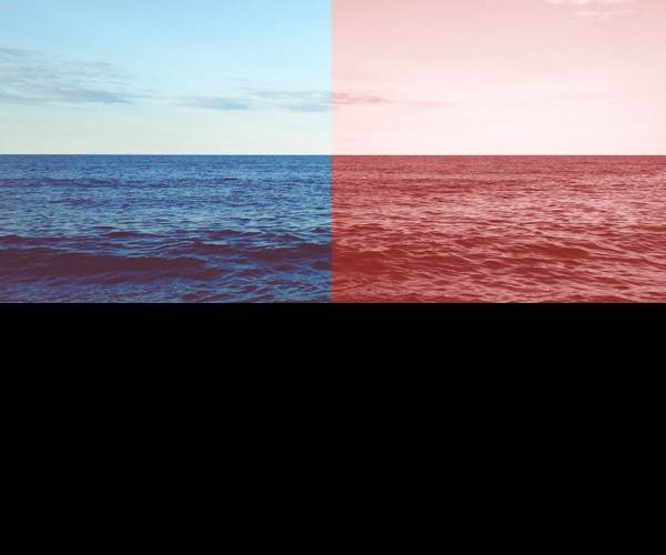 Red Ocean