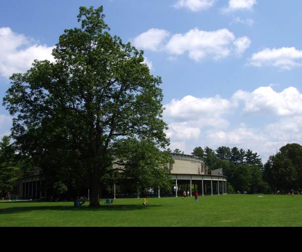 Tanglewood