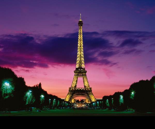 Paris Nights