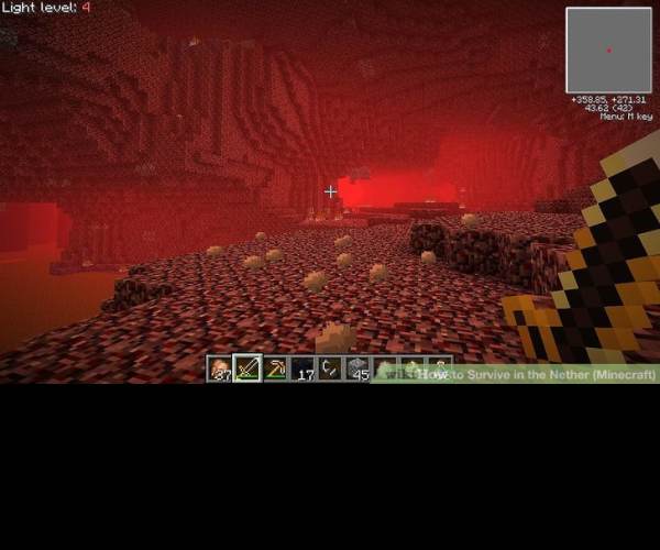 Nether