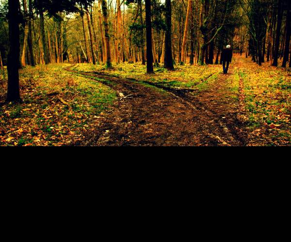Road Not Taken
