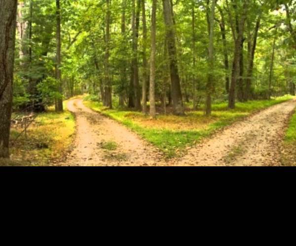 Road Not Taken