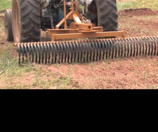 Rake