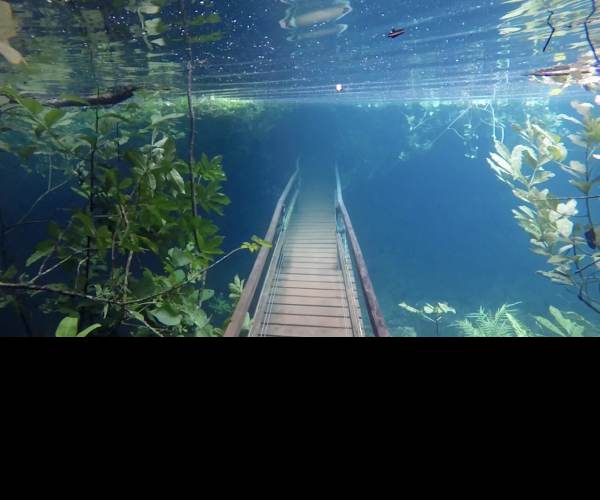 Submerged