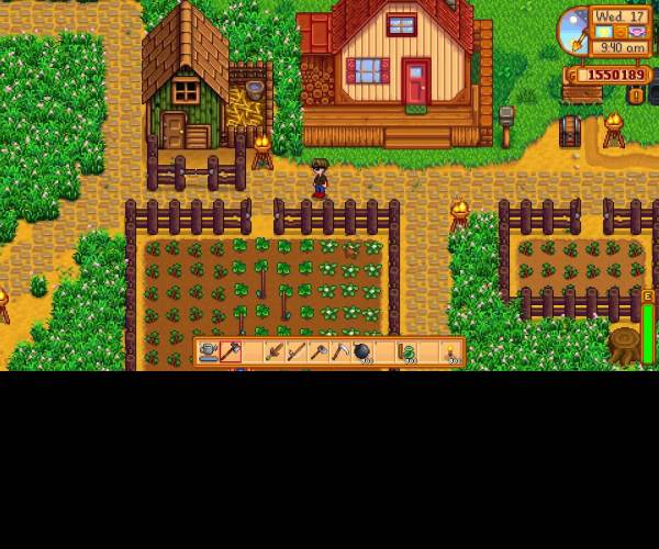 Stardew Valley