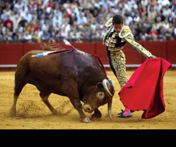 El Matador
