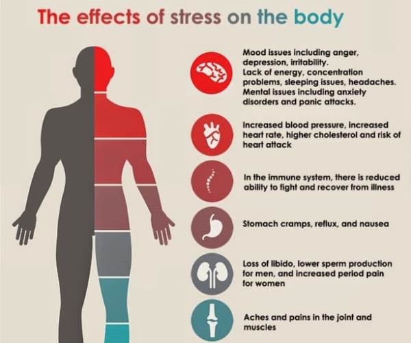 Stress Attack