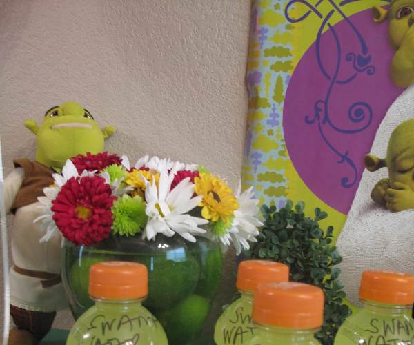 Shrek Party