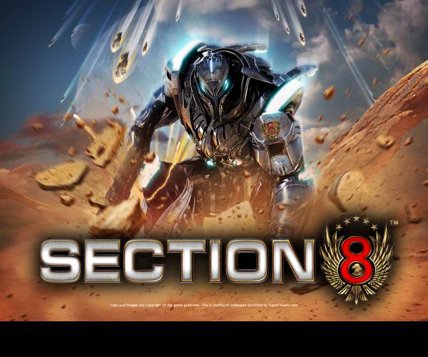 Section 8