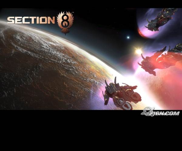Section 8