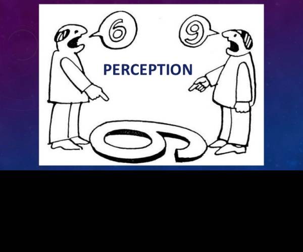 Perception