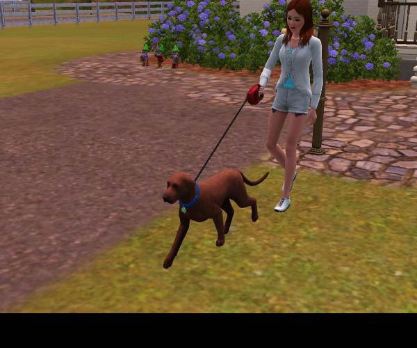 The Sims 3: Domácí mazlíčci