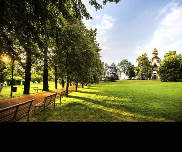 The Park