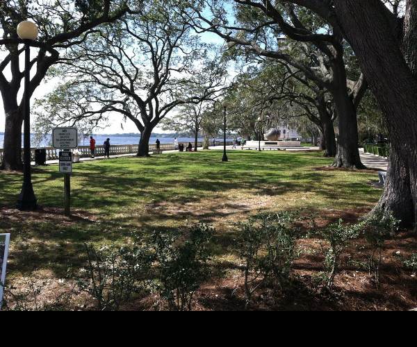 The Park