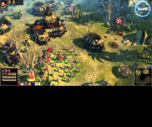 Worldshift