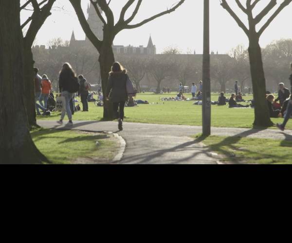 The Park