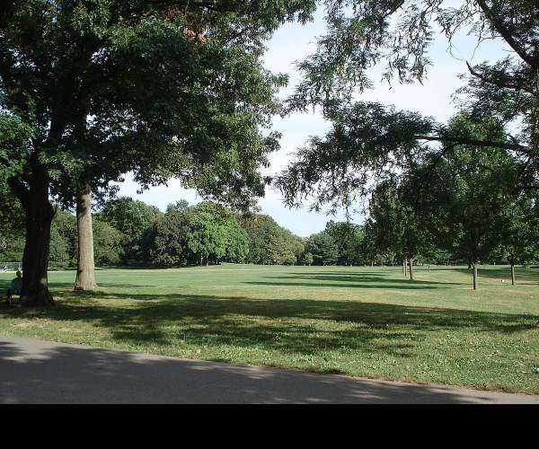 The Park