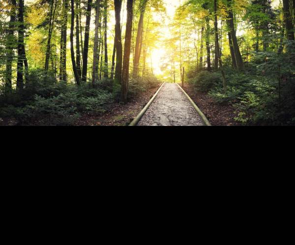 Pathway