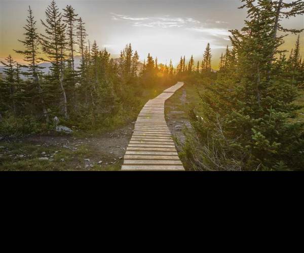 Pathway