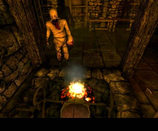 Amnesia: The Dark Descent