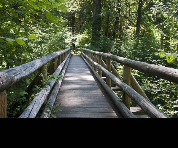 Pathway