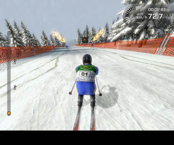 Alpine Ski Racing 2007