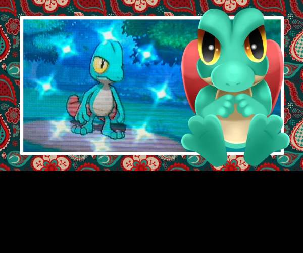 Shiny