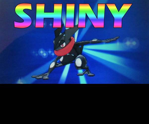 Shiny