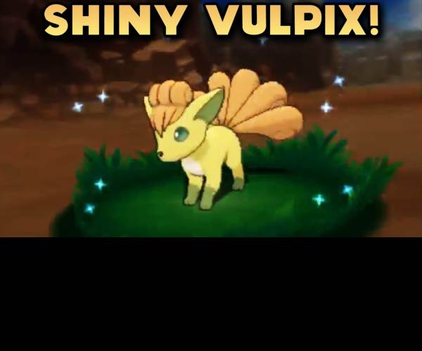 Shiny