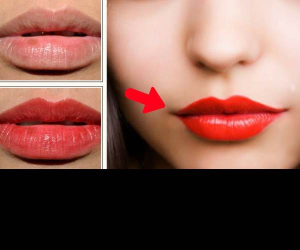 Lips