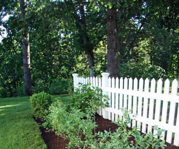 Blueberry Garden