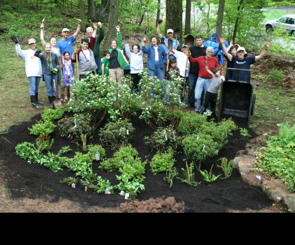 Blueberry Garden