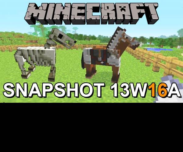 Snapshot